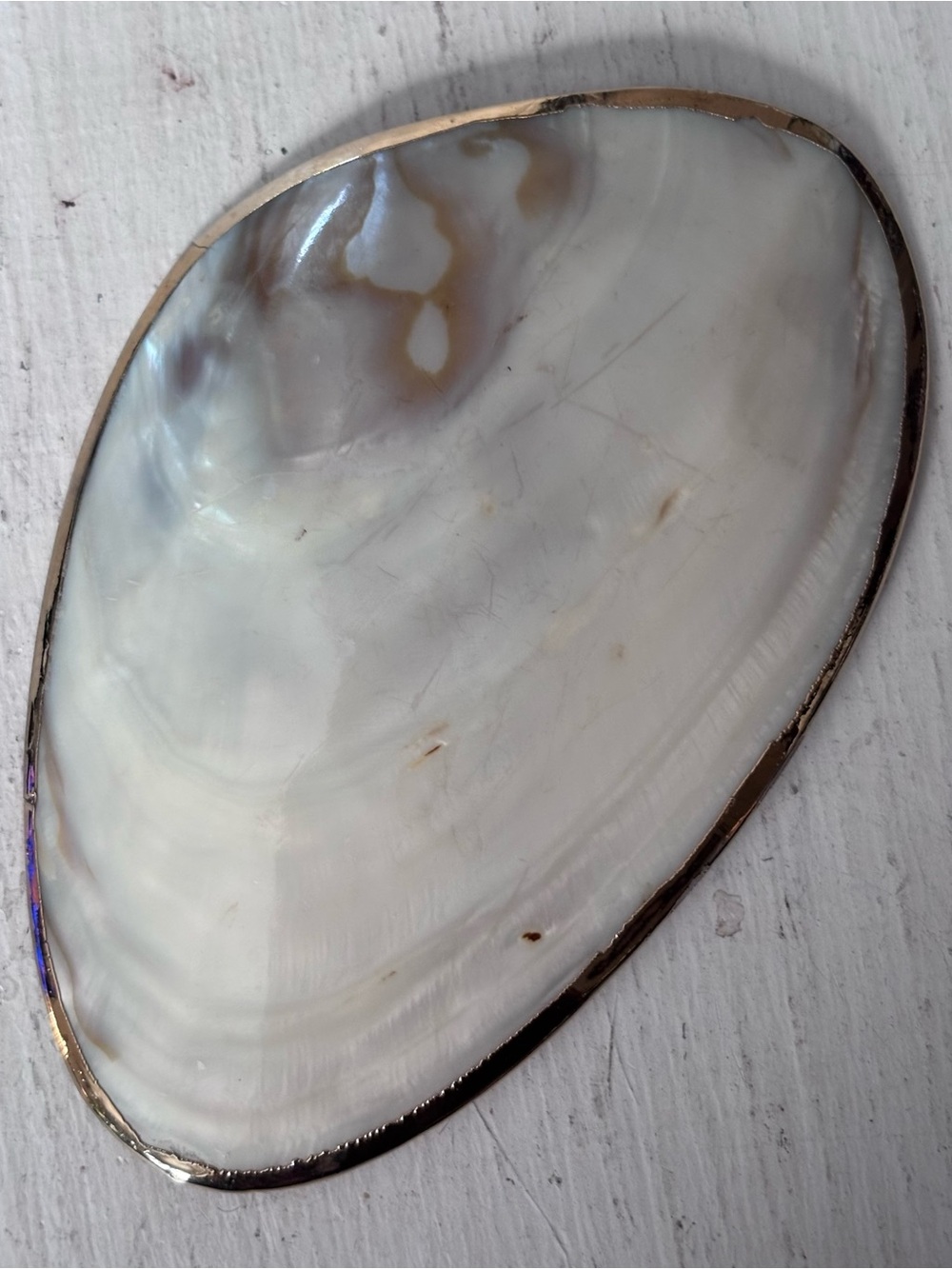 🌼VTG Iridescent MOP Clam Shell Belt Buckle